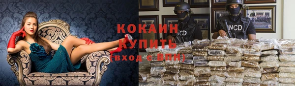 мяу мяу мука Аркадак